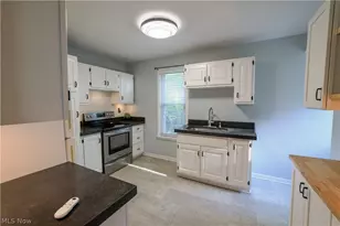 217 E Bergey St, Wadsworth, OH 44281 - Photo 5