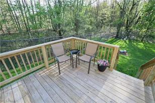 217 E Bergey St, Wadsworth, OH 44281 - Photo 19