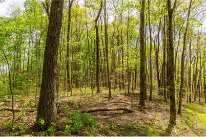 6268 Kings Ridge Road, Newcomerstown, OH 43832 - Photo 21