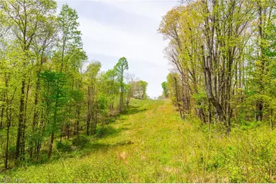 6268 Kings Ridge Road, Newcomerstown, OH 43832 - Photo 3