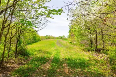 6268 Kings Ridge Road, Newcomerstown, OH 43832 - Photo 25
