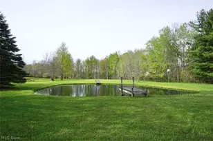 5875 Trumbull Rd, Geneva, OH 44041 - Photo 21