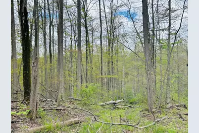 Auburn Road, Newbury, OH 44065 - Photo 7