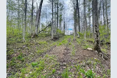 Auburn Road, Newbury, OH 44065 - Photo 11