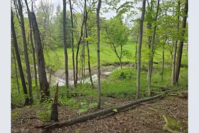 46457 Whitney Road, Wellington, OH 44090 - Photo 33