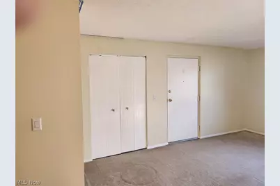 216 Moore Road, Avon Lake, OH 44012 - Photo 23