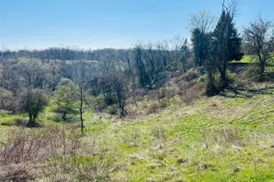 186 Township Rd 1305, Toronto, OH 43964 - Photo 29