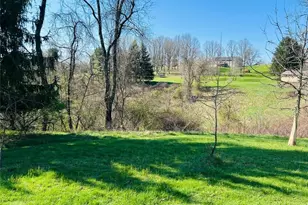 186 Township Rd 1305, Toronto, OH 43964 - Photo 37