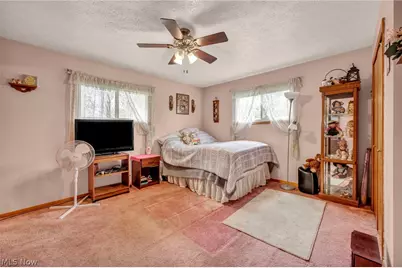 1141 Novak Road, Grafton, OH 44044 - Photo 23