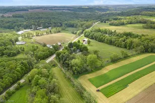 2184 State Route 179, Jeromesville, OH 44840 - Photo 47