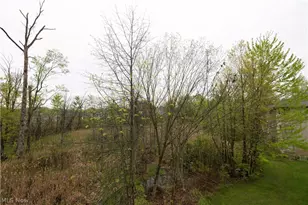 3800 Rosemont Blvd, Fairlawn, OH 44333 - Photo 9