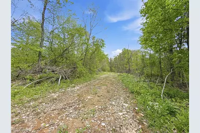 69 Acres Newlon Road, Malta, OH 43758 - Photo 19
