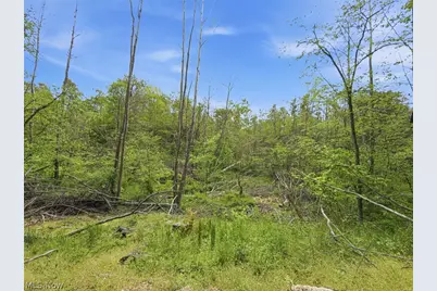 69 Acres Newlon Road, Malta, OH 43758 - Photo 13