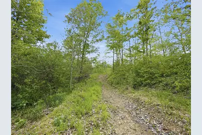 69 Acres Newlon Road, Malta, OH 43758 - Photo 15