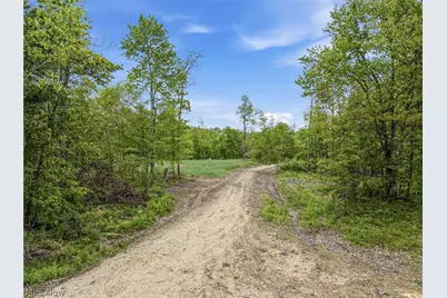 69 Acres Newlon Road, Malta, OH 43758 - Photo 5