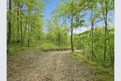 69 Acres Newlon Road, Malta, OH 43758 - Photo 11