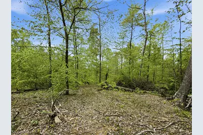 95 Acres Newlon Road, Malta, OH 43758 - Photo 17
