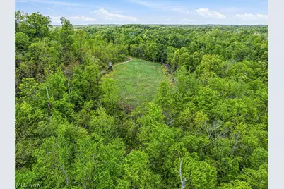 95 Acres Newlon Road, Malta, OH 43758 - Photo 7