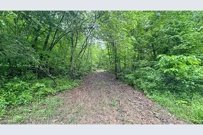 95 Acres Newlon Road, Malta, OH 43758 - Photo 9