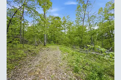 95 Acres Newlon Road, Malta, OH 43758 - Photo 13