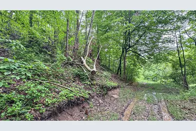 95 Acres Newlon Road, Malta, OH 43758 - Photo 15