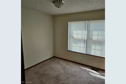 1231 Honodle Avenue, Akron, OH 44305 - Photo 9