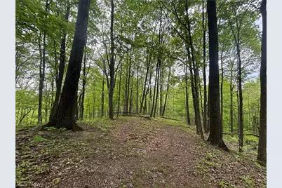38975 Ogles Ridge Road, Dexter City, OH 45727 - Photo 23