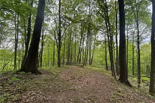 38975 Ogles Ridge Rd, Dexter City, OH 45727 - Photo 23