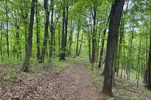 38975 Ogles Ridge Rd, Dexter City, OH 45727 - Photo 35