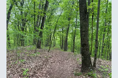 38975 Ogles Ridge Road, Dexter City, OH 45727 - Photo 29