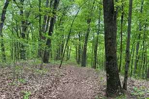 38975 Ogles Ridge Rd, Dexter City, OH 45727 - Photo 29