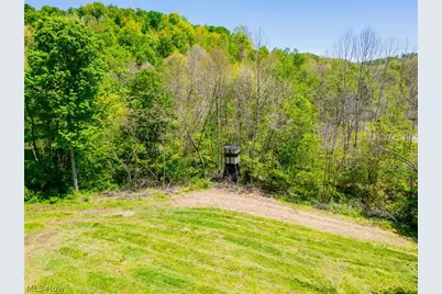 37500 Goose Run Road, Dexter City, OH 45727 - Photo 7