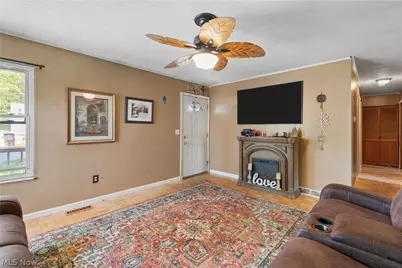 316 Hohman Avenue, Akron, OH 44319 - Photo 7