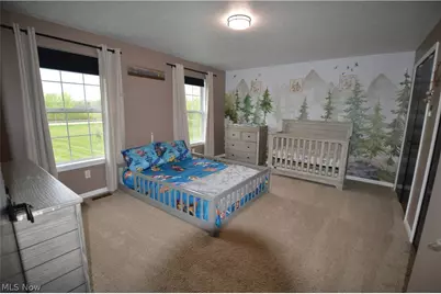 12555 Akron Canfield Road, North Jackson, OH 44451 - Photo 19