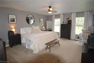 12555 Akron Canfield Rd, North Jackson, OH 44451 - Photo 21