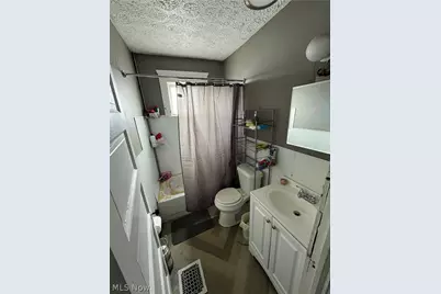 10405 Olivet Avenue, Loveland, OH 44103 - Photo 15