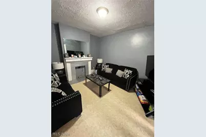 10405 Olivet Avenue, Loveland, OH 44103 - Photo 5