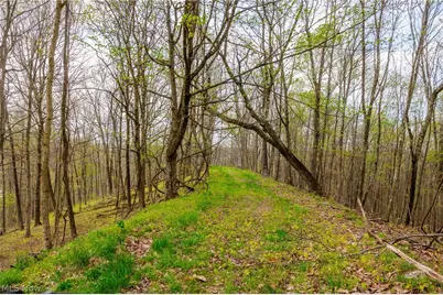 2115 Goss Fork Rd #1, Whipple, OH 45788 - Photo 29