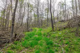 2115 Goss Fork Rd, Whipple, OH 45788 - Photo 15