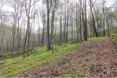 2115 Goss Fork Rd #1, Whipple, OH 45788 - Photo 17