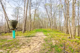 2115 Goss Fork Rd, Whipple, OH 45788 - Photo 21
