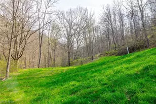 2115 Goss Fork Rd, Whipple, OH 45788 - Photo 9