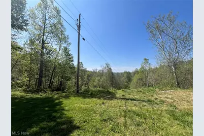 49250 Cowgill Road, Sarahsville, OH 43779 - Photo 23