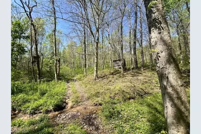 49250 Cowgill Road, Sarahsville, OH 43779 - Photo 35