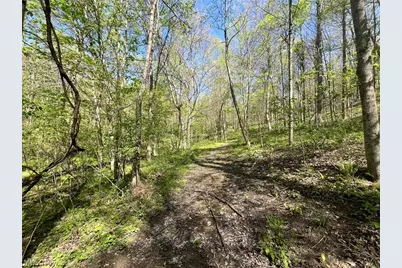 49250 Cowgill Road, Sarahsville, OH 43779 - Photo 33