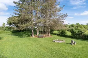 10031 Sanford Rd, Lodi, OH 44254 - Photo 9