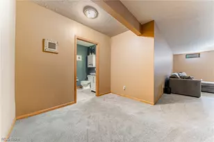 395 White Spruce Dr, Macedonia, OH 44056 - Photo 35