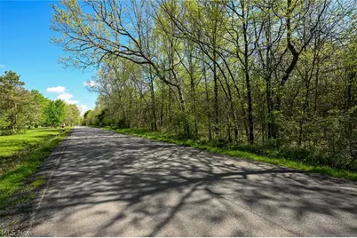 Oyster Road, North Benton, OH 44449 - Photo 31