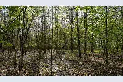 Oyster Road, North Benton, OH 44449 - Photo 29
