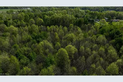 Oyster Road, North Benton, OH 44449 - Photo 3